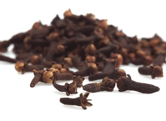 Clove, eugenia caryophyllata against White Background