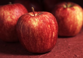 Royal Gala Apples, malus domestica