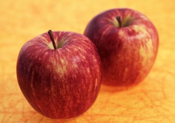 Royal Gala Apples, malus domestica