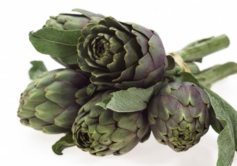 Obraz premium Artichoke, cynara scolymus against White Background