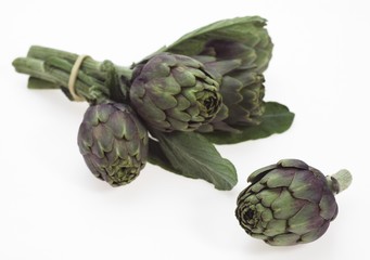 Obraz premium Artichoke, cynara scolymus against White Background