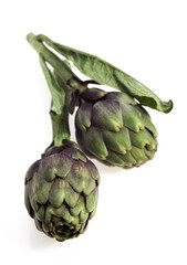 Obraz premium Artichoke, cynara scolymus against White Background