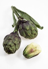 Obraz premium Artichoke, cynara scolymus against White Background