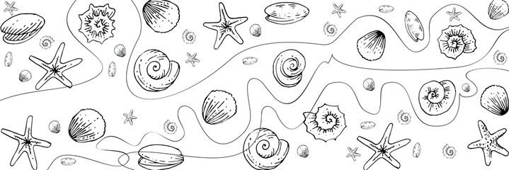 Seashells, snails, starfish, rapanas. Outline hand drawing. Isolated vector object on white background. Inhabitants of the ocean floor.