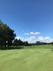 golf course with hole