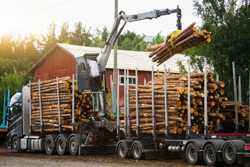 Loading of timber on railway carriages. Loader in work	

