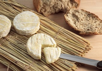 Saint Marcellin, French Cheese produced from Cow's Milk