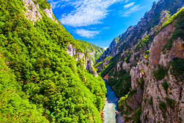 Tara river canyon in Montenegro