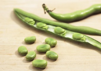 Fresh Broad Beans, vicia faba against White Background