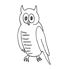 Owl.Vector illustration of a forest bird. A sketch in the style of doodles. Isolated object on a white background. Wild nature ink drawing.