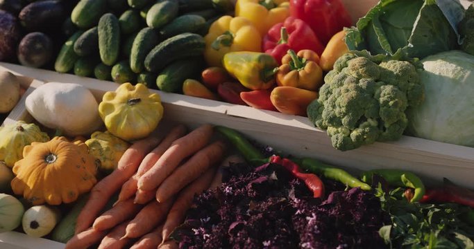 A counter with seasonal vegetables at the farmers' market. A selection of vegetables from local producers