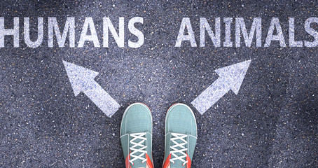 Humans and animals as different choices in life - pictured as words Humans, animals on a road to symbolize making decision and picking either Humans or animals as an option, 3d illustration
