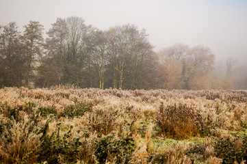 Morning mist over frosty fields