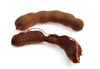 Tamarind Fruits, tamarindus indica against White Background