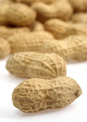 Peanuts, arachis hypogaea against White Background