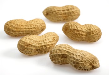 Peanuts, arachis hypogaea against White Background