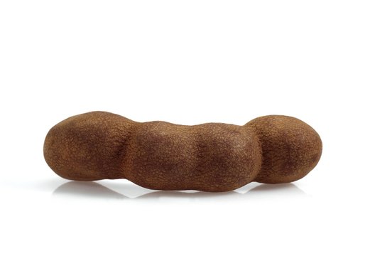 Tamarind Fruit, tamarindus indica against White Background