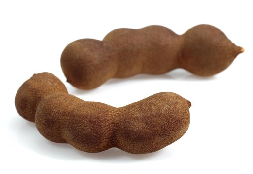 Tamarind Fruits, tamarindus indica against White Background