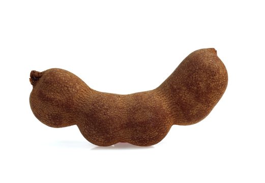 Tamarind Fruits, tamarindus indica against White Background