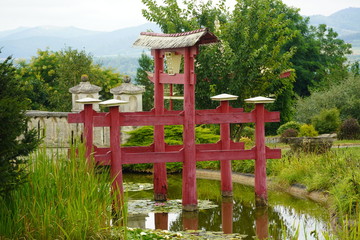 Beautiful flower in a botanical garden 