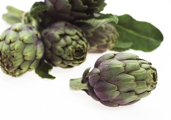 Artichoke, cynara scolymus against White background