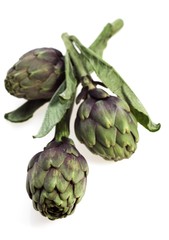 Obraz premium Artichoke, cynara scolymus against White background