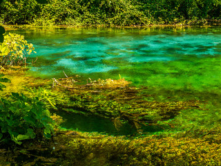 Forest lake. The Stunning Lakes of Albania.