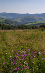 Mountain landscape of the Carpathians on a nice day. Mountains and forest on a sunny summer day. Ukrainian Carpathians The main watershed, Mount Pikuy