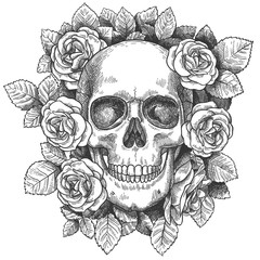 Skull with flowers. Sketch human skull with roses, traditional gothic black tattoo. Drawn monster halloween engraving vector artwork. Scary dead head with teeth with blossom and foliage