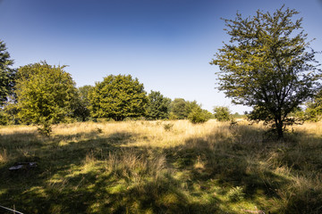 Wildlife Sanctuary Höltigbaum