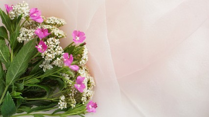 White and pink wildflowers lying on the edge of the bright fabric