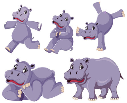 Set of hippopotamus cartoon character