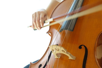 チェロと弓　violin and bow
