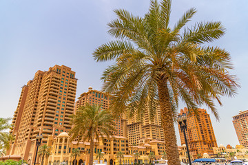 Fototapeta na wymiar Buildings overlooking the Marina in Doha.