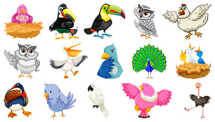 Set of different birds cartoon style isolated on white background