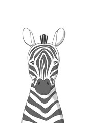 Hand drawn zebra. Poster for baby room. Childish print for nursery. Design can be used for kids apparel, greeting card, invitation, baby shower. Vector illustration.