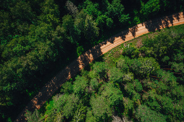 Aerial shot of a long road surrounded by green forest in Latvian countryside..
