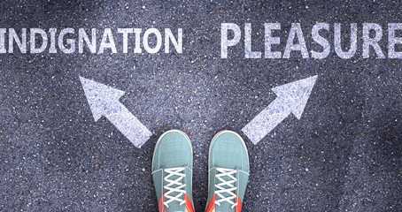 Indignation and pleasure as different choices in life - pictured as words Indignation, pleasure on a road to symbolize making decision and picking either one as an option, 3d illustration