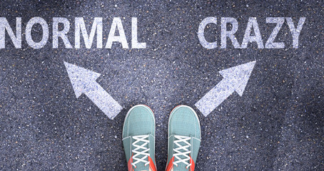 Normal and crazy as different choices in life - pictured as words Normal, crazy on a road to symbolize making decision and picking either Normal or crazy as an option, 3d illustration