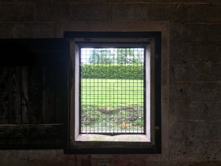 Confined gaze peering through steel grid window