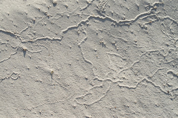 Fototapeta na wymiar Fine gray sand closeup