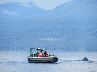 Humpback whale near a small boat with people taking photos at Pacific Ocean in British Columbia with mountains on the background. 