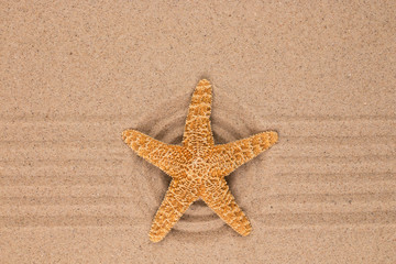 Fototapeta na wymiar Large yellow star lies in the center of a sandy circle.