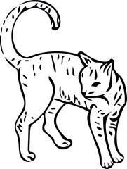 vector image of a cat 