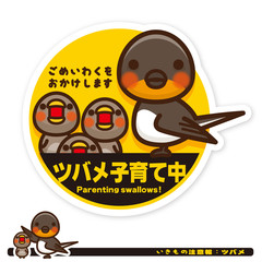 いきもの注意報：ツバメ子育て中サイン