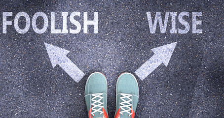 Foolish and wise as different choices in life - pictured as words Foolish, wise on a road to symbolize making decision and picking either Foolish or wise as an option, 3d illustration
