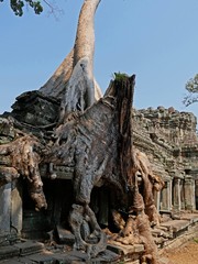 Preah Khan Temple, Siem Reap Province, Angkor's Temple Complex Site listed as World Heritage by Unesco in 1192, built in 1191 by King Jayavarman VII, Cambodia