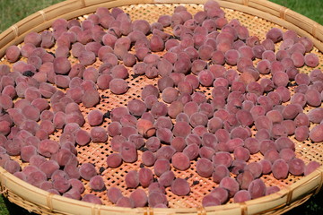 梅干作り　天日干し