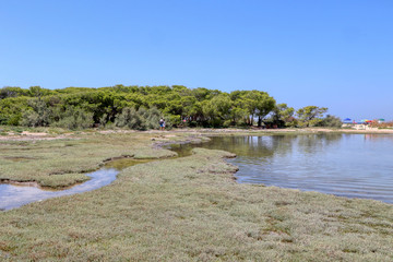 Rabbit Island (Isola dei Conigli) in Porto Cesareo, Lecce, Salento, Puglia, Italy