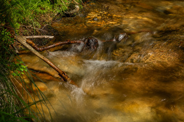 Divoky creek near Kouty nad Desnou village in summer day